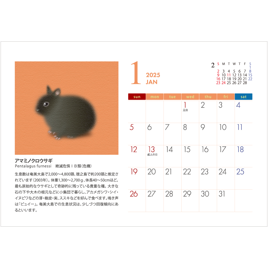 日本の絶滅危動物カレンダー (All eco)（NZ-409）画像-2