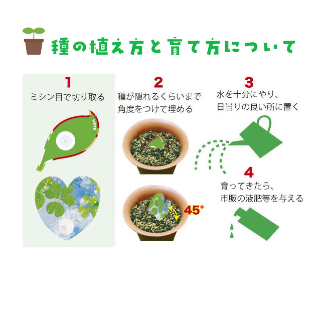 種付き卓上カレンダー(バジル)（NZ-507）画像-4