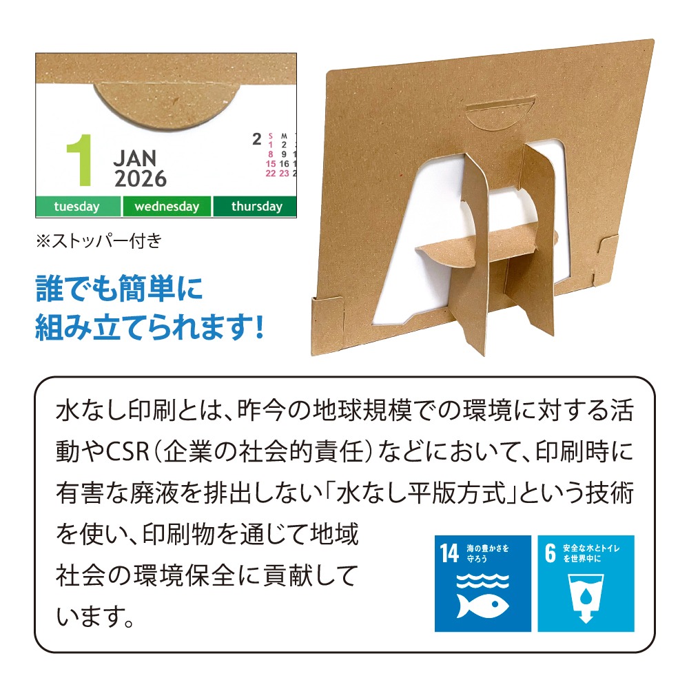 エコスタンド･ナチュラルセブンカラーズ(All eco)（NZ-519）画像-4