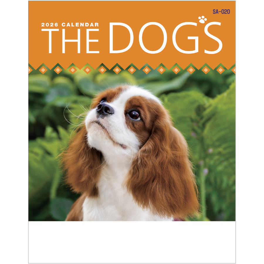 THEDOG’s(ザ・ドッグス)