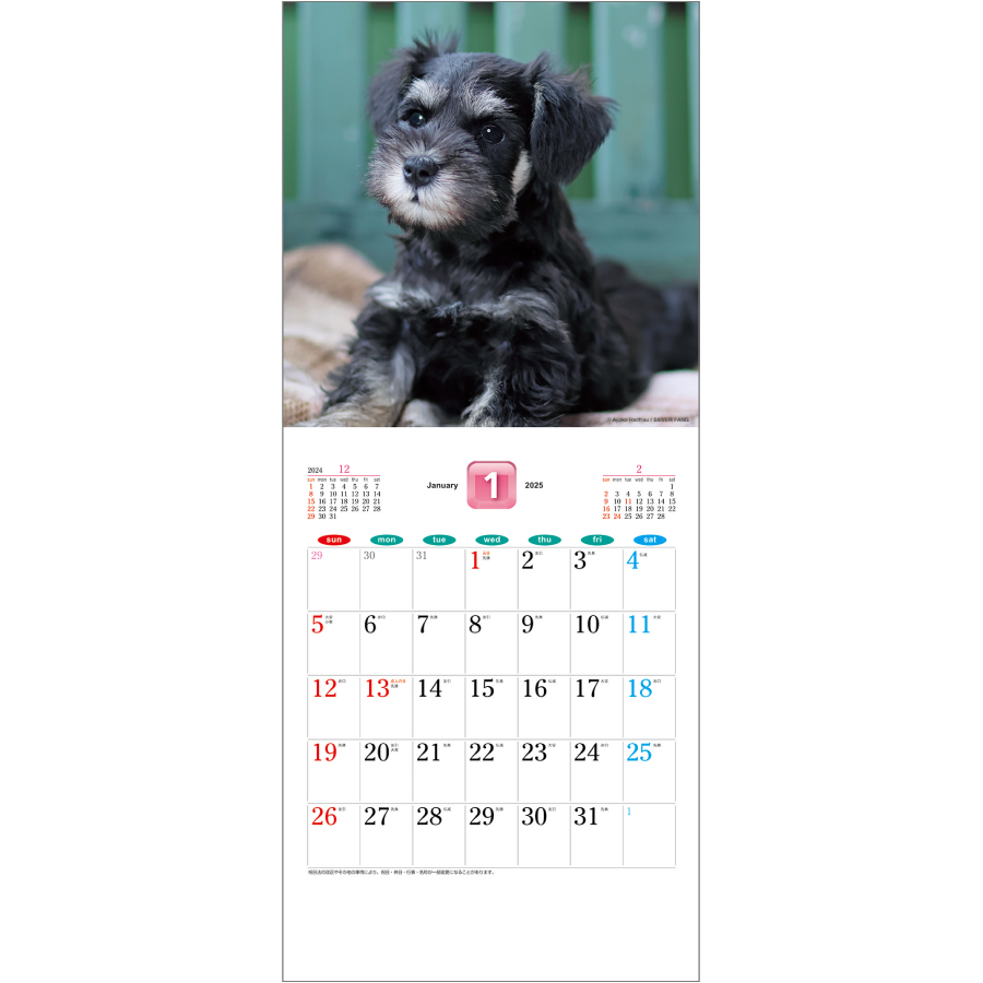THE DOG’S(ザ･ドッグ)（SA-020）画像-2