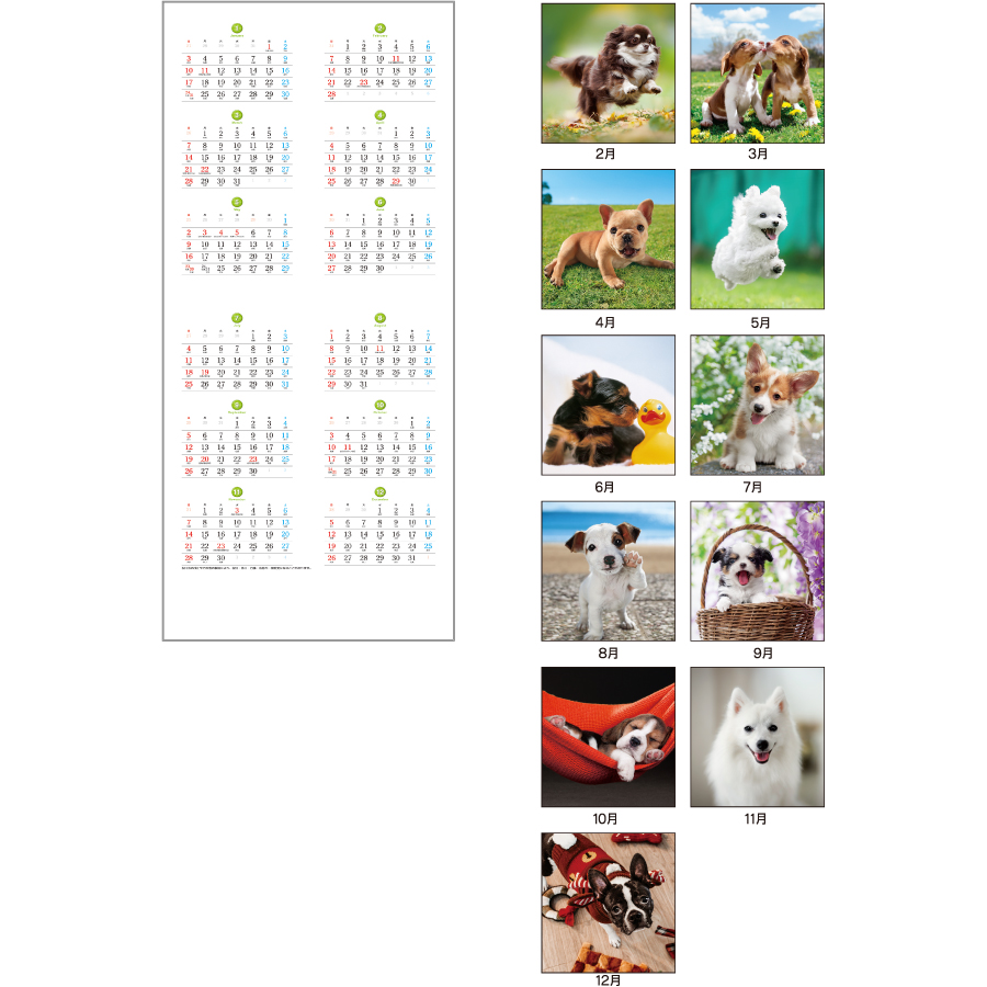 【超早割】THE DOGS(SA-020)画像-3