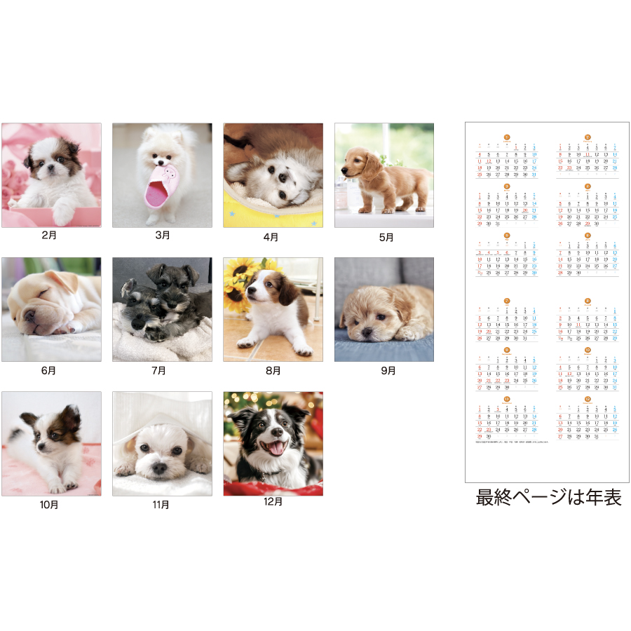 THEDOG’s(ザ･ドッグス)（SA-020）画像-3