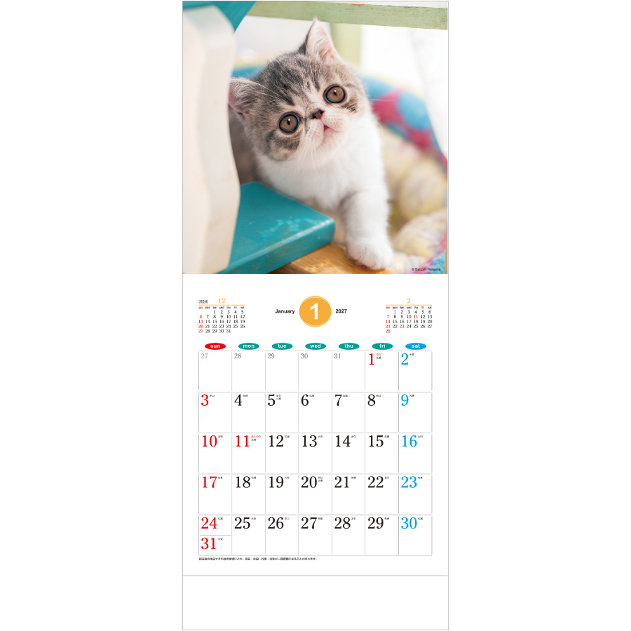 【超早割】THE CATS（SA-030）画像-2