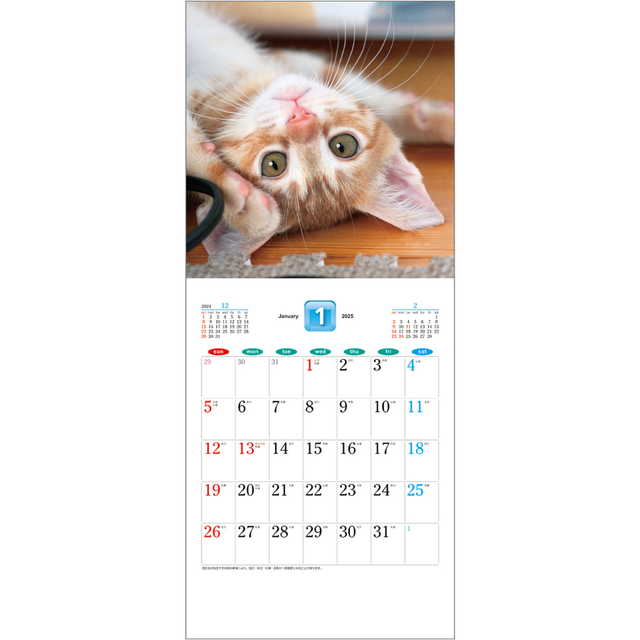 THE CAT’S(ザ･キャッツ)（SA-030）画像-2