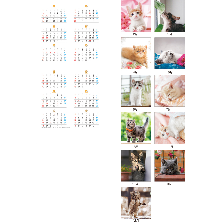 【超早割】THE CATS（SA-030）画像-3