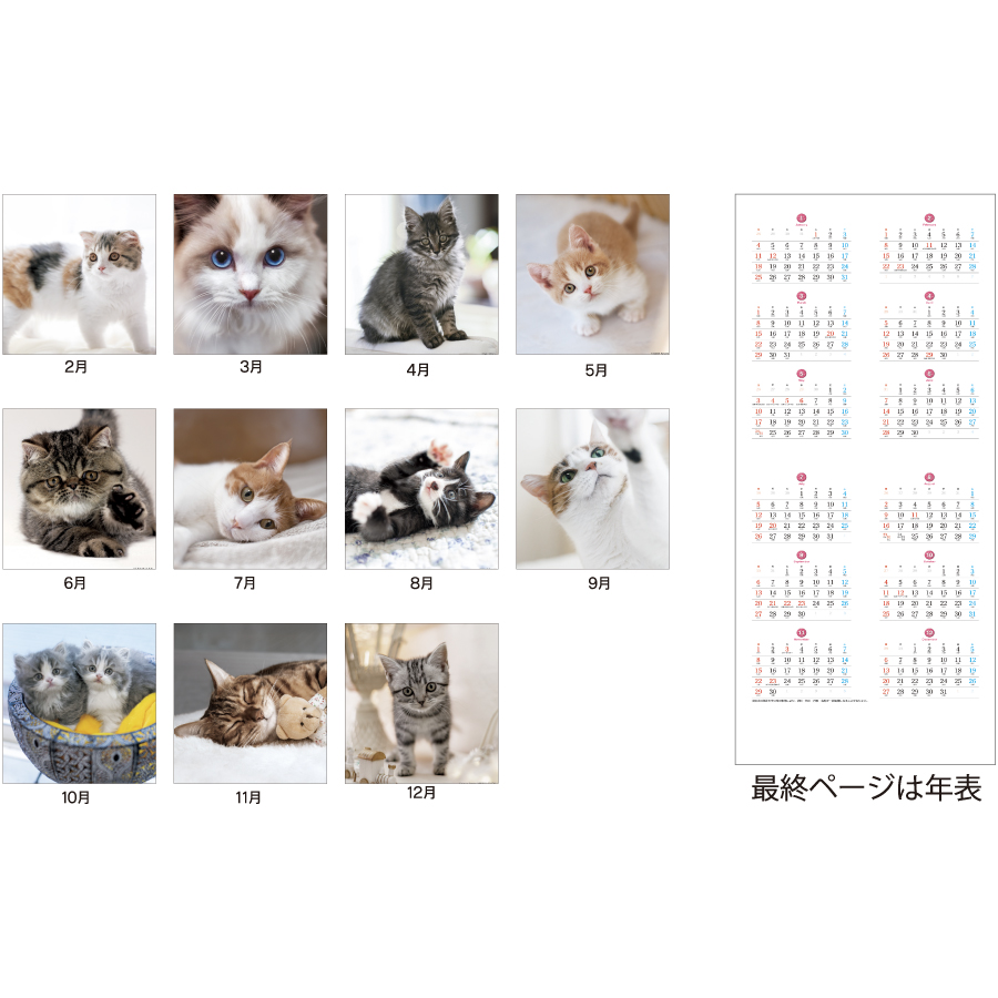 THECAT’S(ザ･キャッツ)（SA-030）画像-3