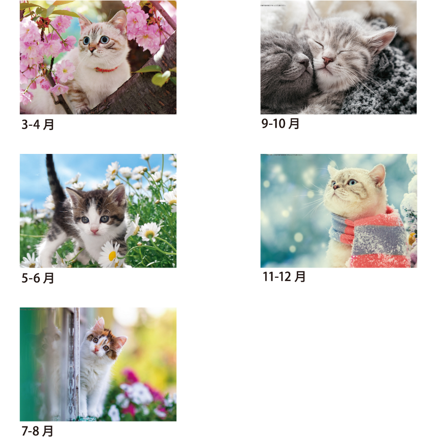 【超早割】ハッピースマイルキャッツ(SA-070)画像-3