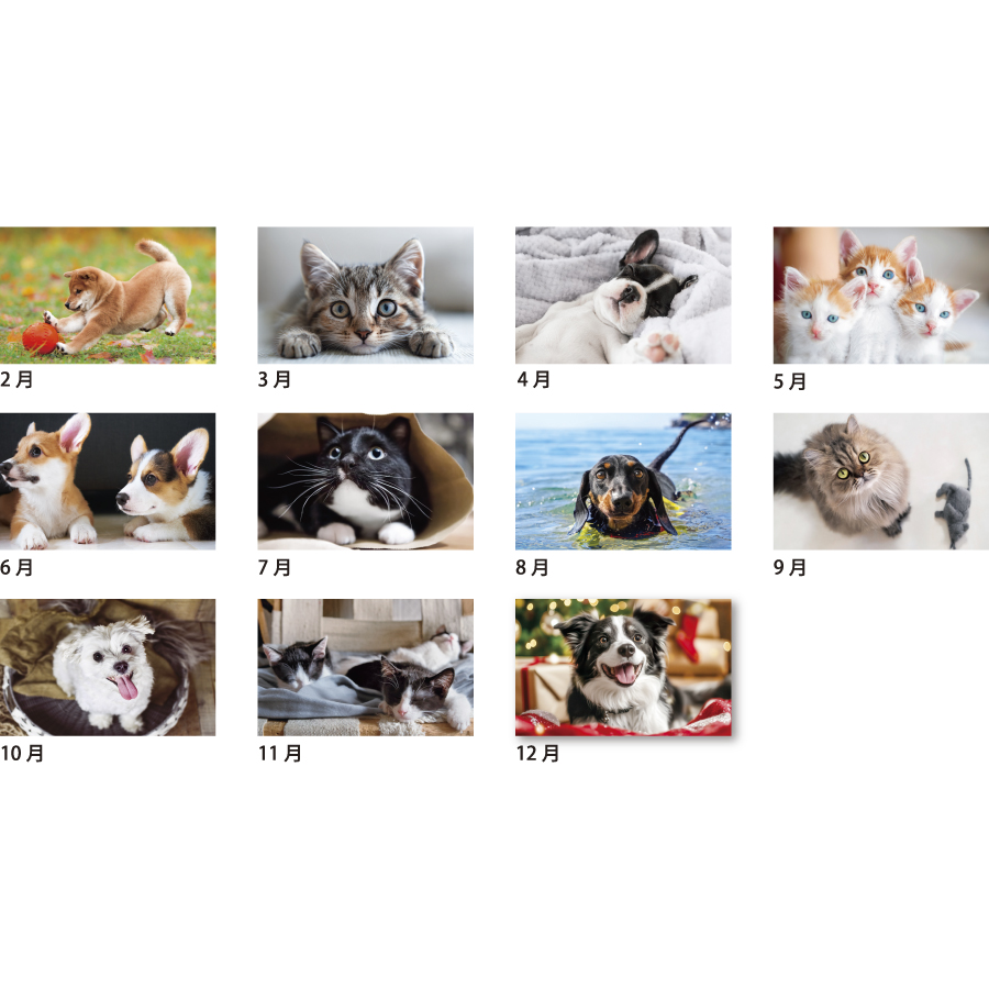 PUPPY&KITTY（SA-333）画像-2