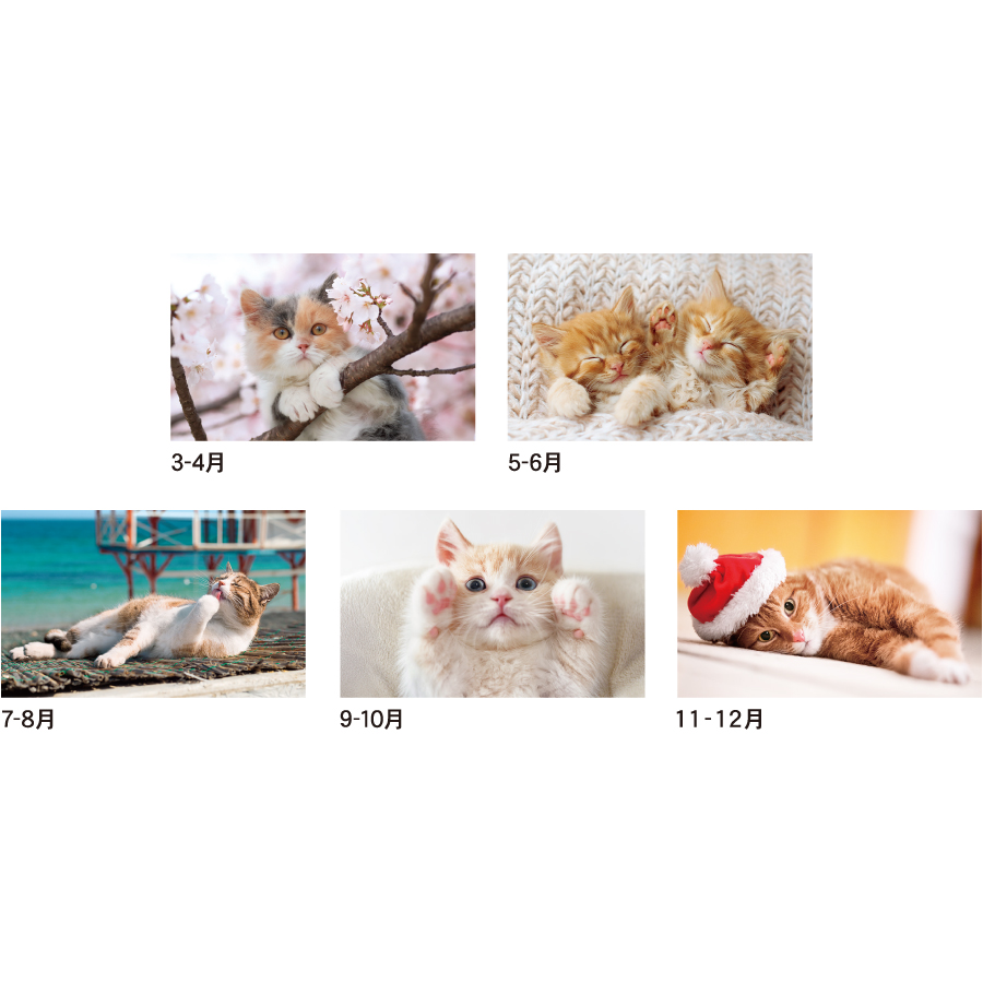 【超早割】キャッツカレンダー（SA-353）画像-3