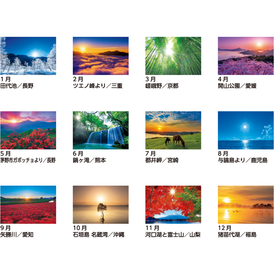 【超早割】輝く太陽(SB-027)画像-3