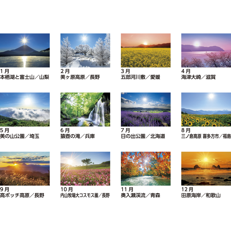 輝く太陽（SB-027）画像-3