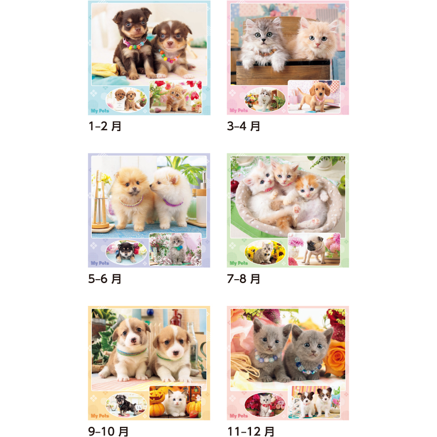 【超早割】マイペット（SB-126）画像-3