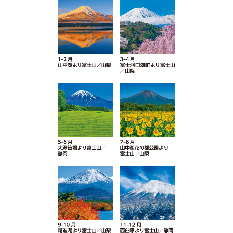 【超早割】富士山〔世界文化遺産〕(SB-250)画像-3