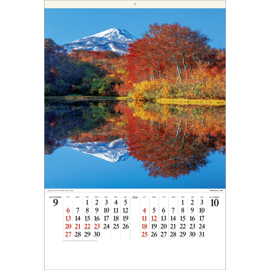 美しい水辺（SB-252）画像-2
