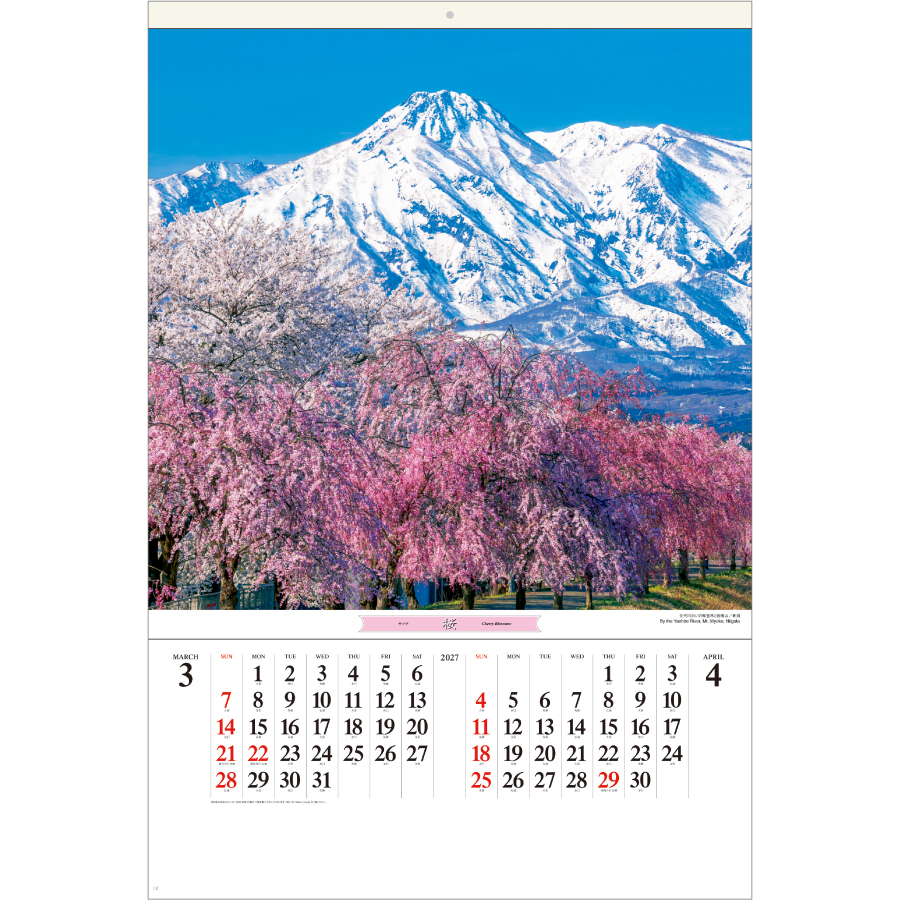 【超早割】花紀行(SB-253)画像-2