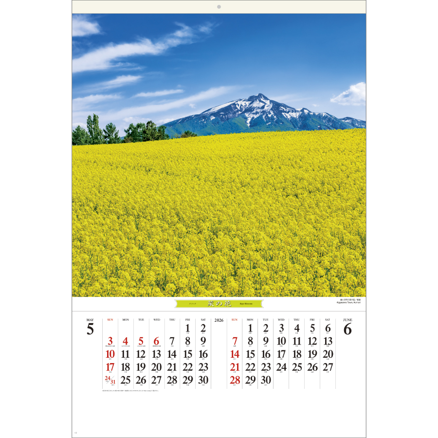 花紀行（SB-253）画像-2
