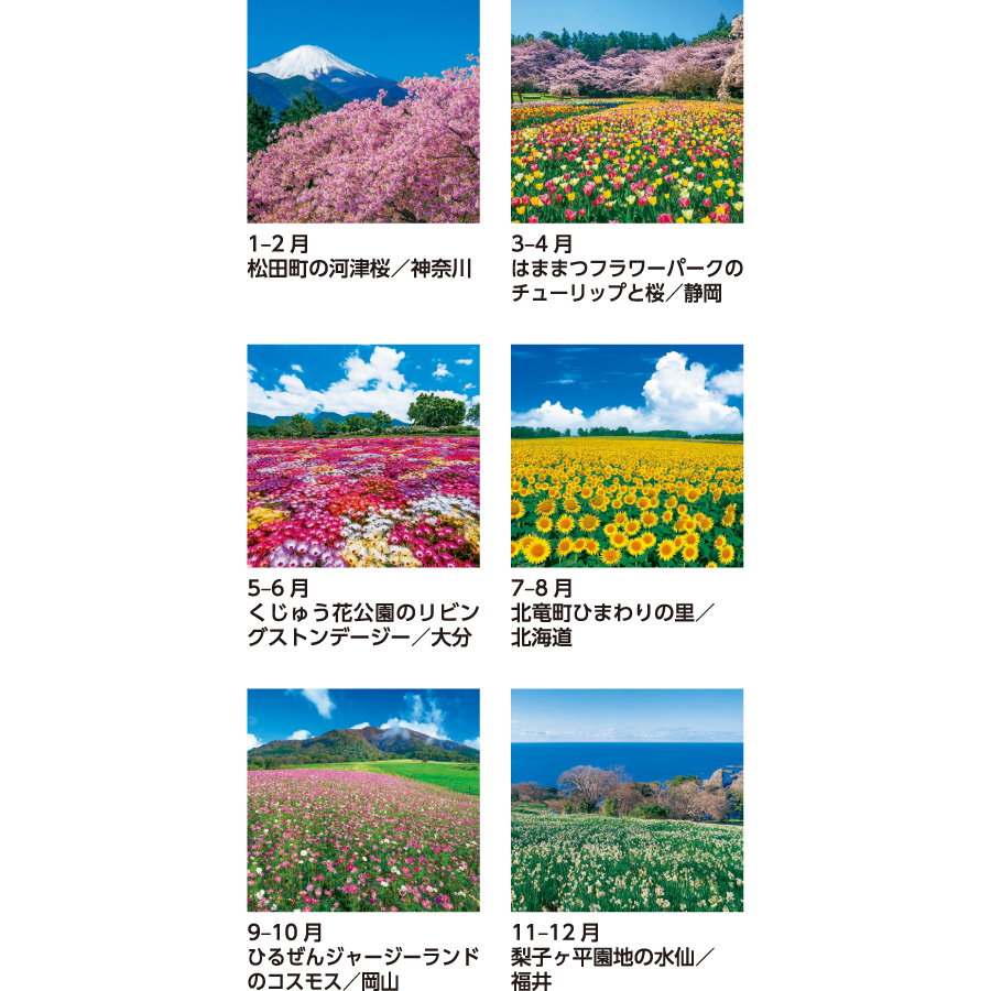 花紀行（SB-253）画像-3