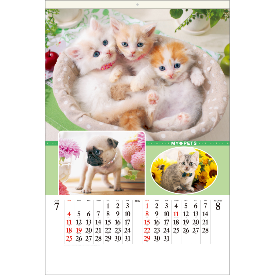 【超早割】マイペット(SB-270)画像-2