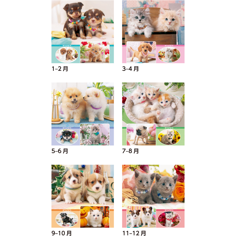 【超早割】マイペット(SB-270)画像-3