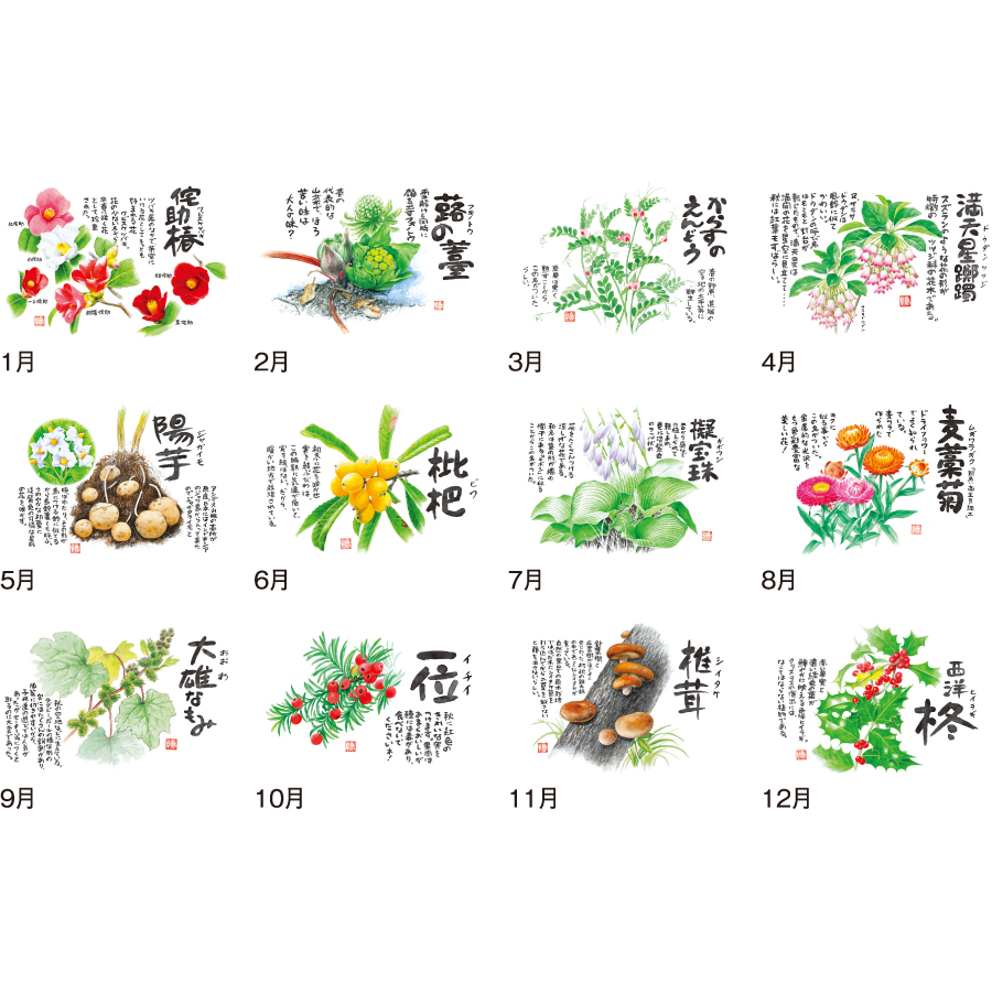 【超早割】草花遊心 (田中陽一郎作品集)（SG-133）画像-3