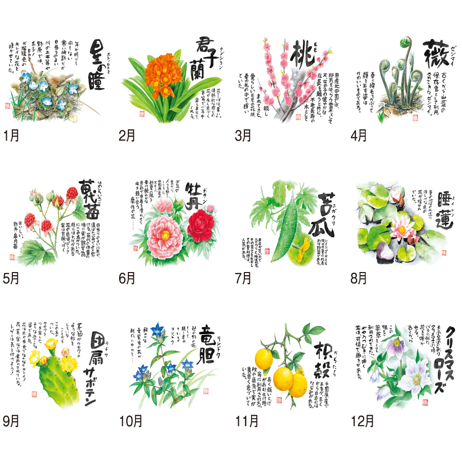 草花遊心 (田中陽一郎作品集)（SG-133）画像-3