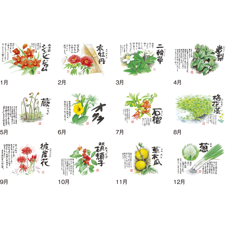 草花遊心 (田中陽一郎作品集)（SG-133）画像-3