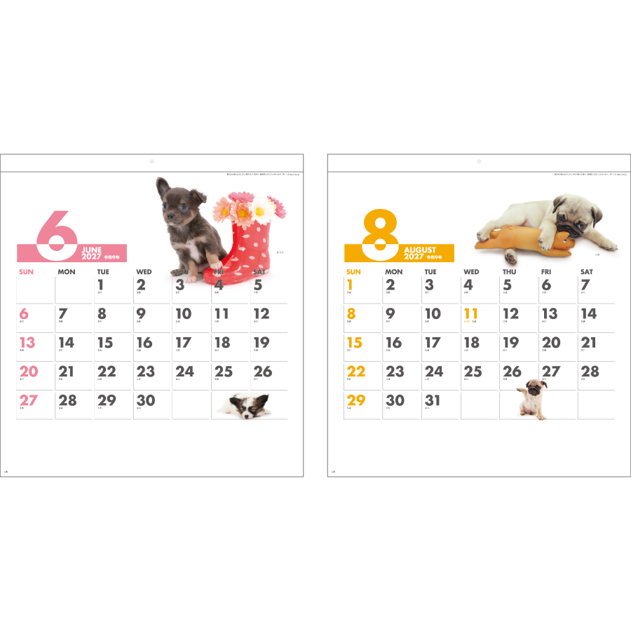 【超早割】DOG・DOG・DOG（SG-172）画像-3