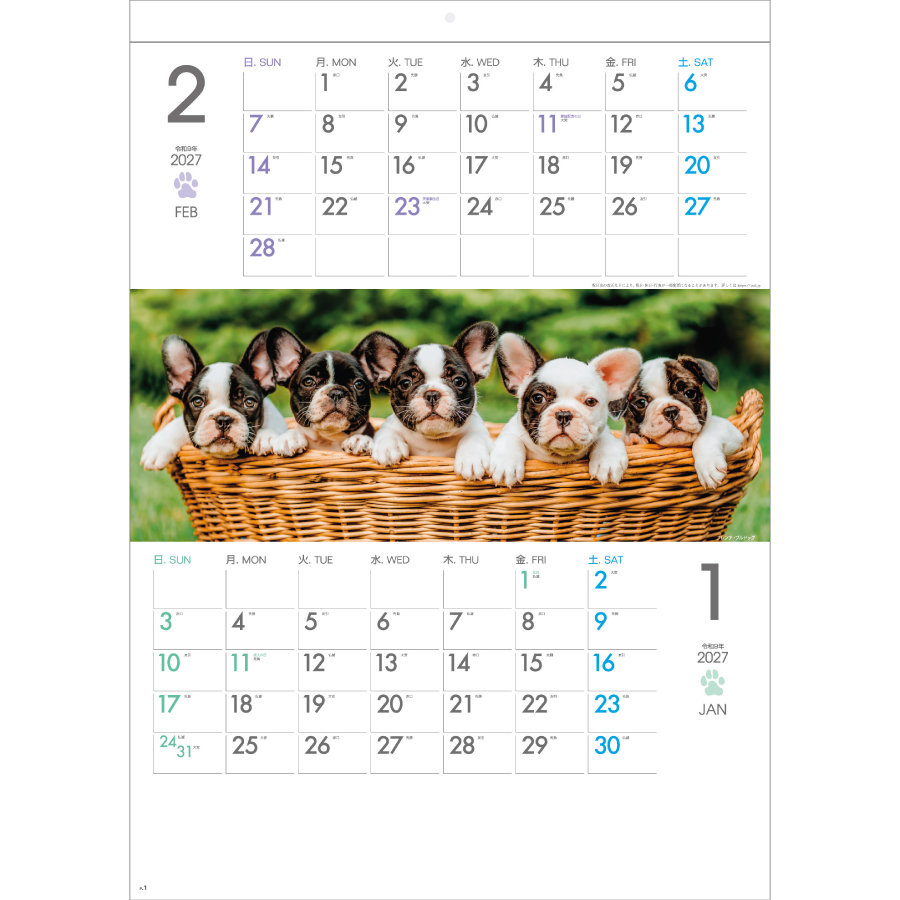 【超早割】THE DOGS(SG-197)画像-2