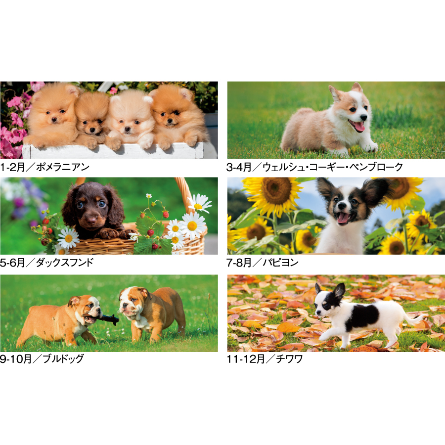 THE DOGS〔ミシン目入り〕（SG-197）画像-3