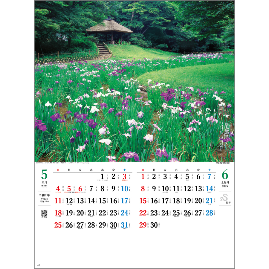 庭の心（SG-205）画像-2