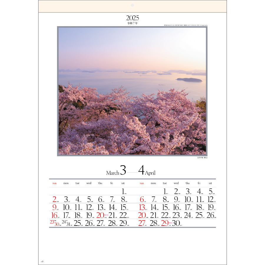 四季六彩（SG-207）画像-2