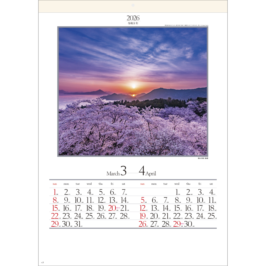四季六彩（SG-207）画像-2