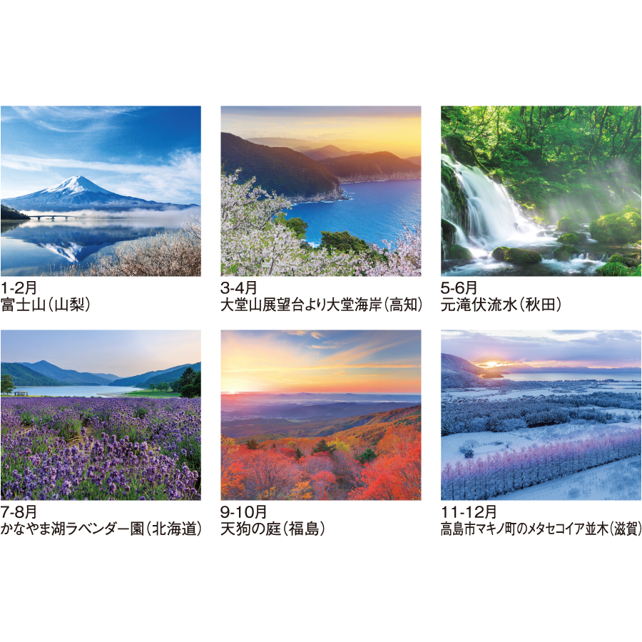 【超早割】四季六彩(SG-207)画像-3