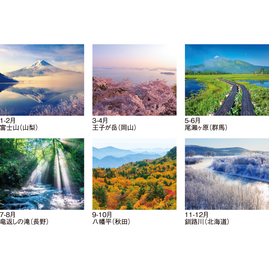 四季六彩（SG-207）画像-3