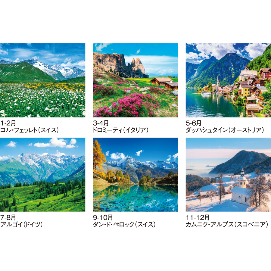 【超早割】アルプス(SG-208)画像-3