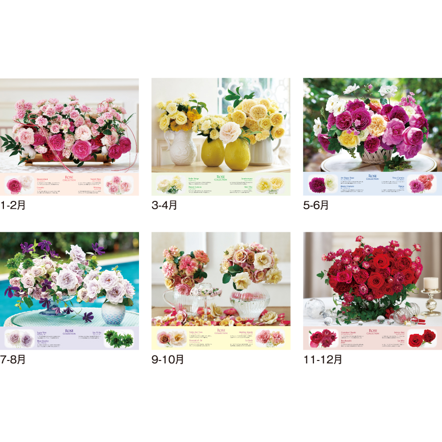 ROSE COLLECTION -ローズコレクション-（SG-220）画像-3