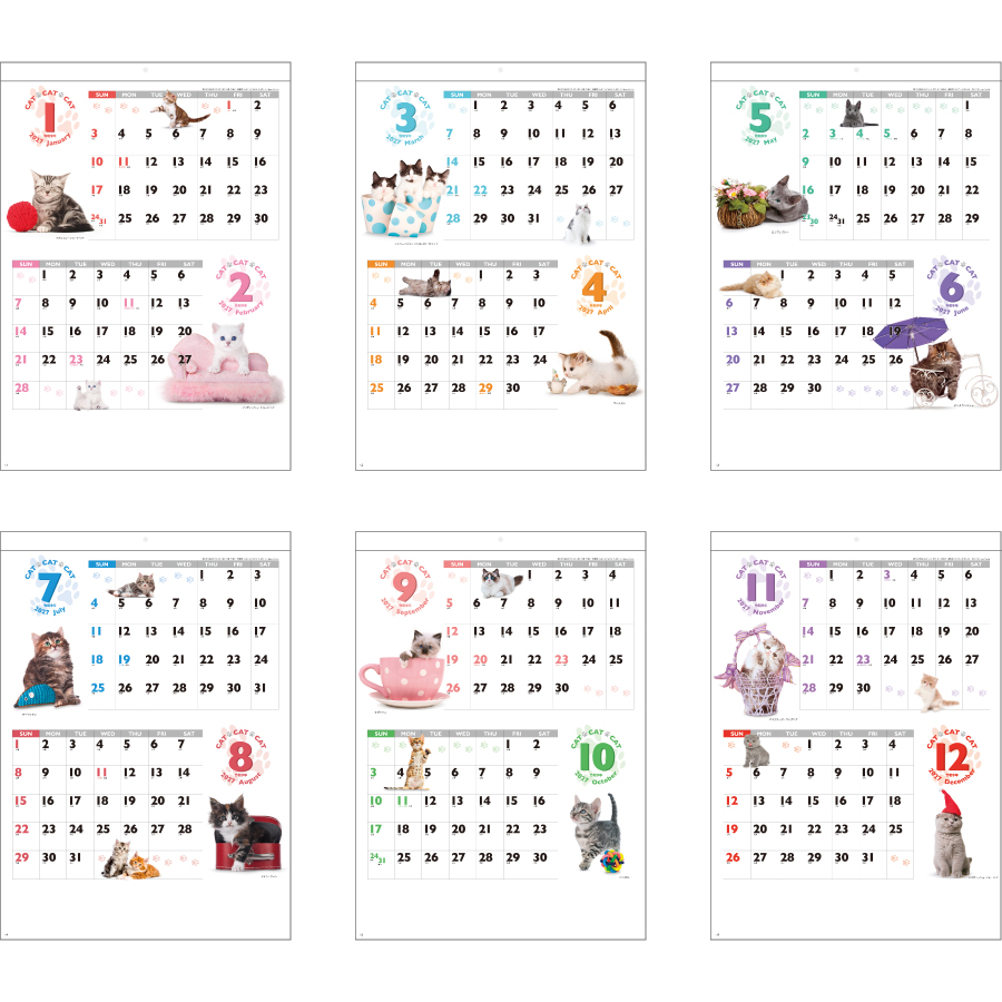 【超早割】CAT・CAT・CAT（SG-2280）画像-3