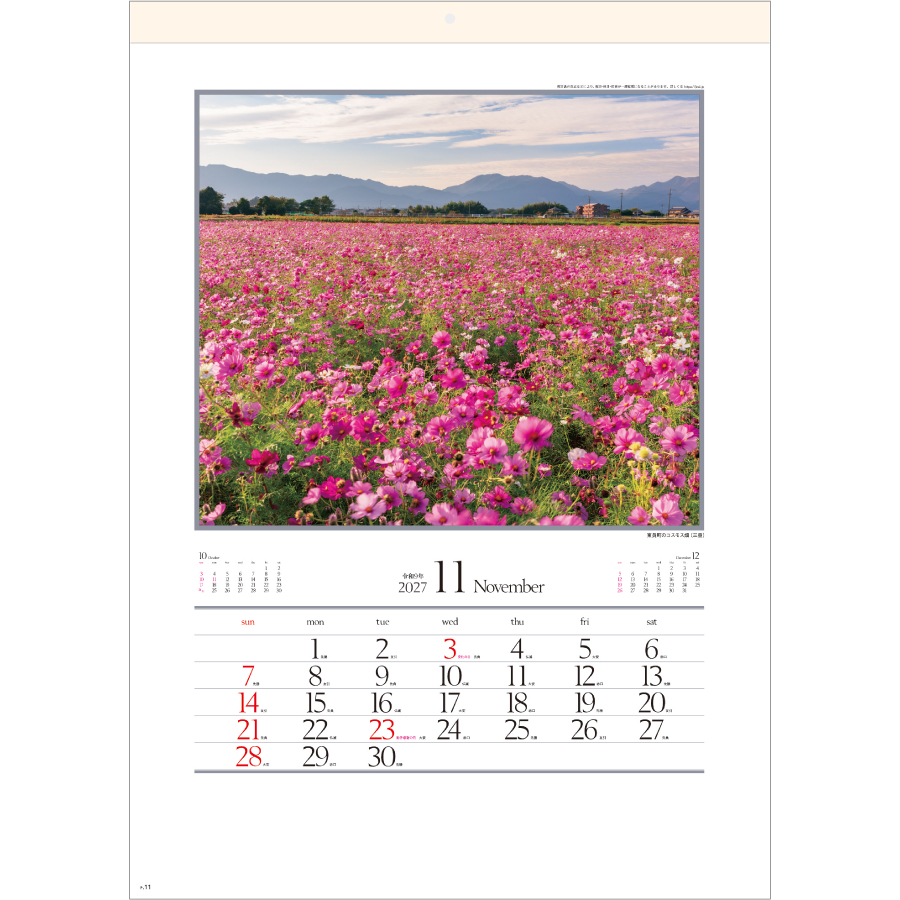 【超早割】四季十二彩(SG-263)画像-2