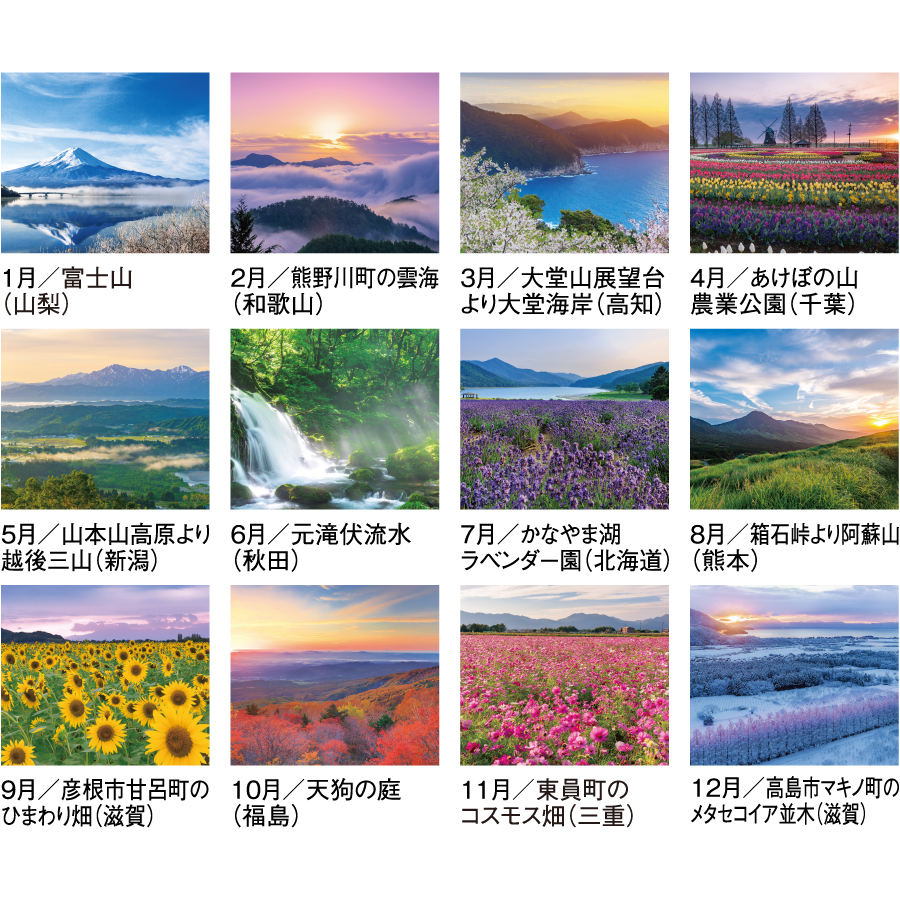 【超早割】四季十二彩(SG-263)画像-3