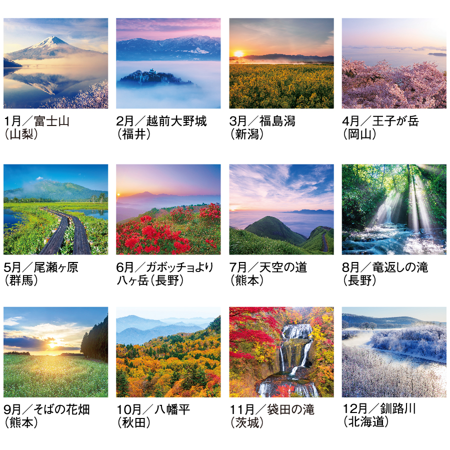 四季十二彩（SG-263）画像-3