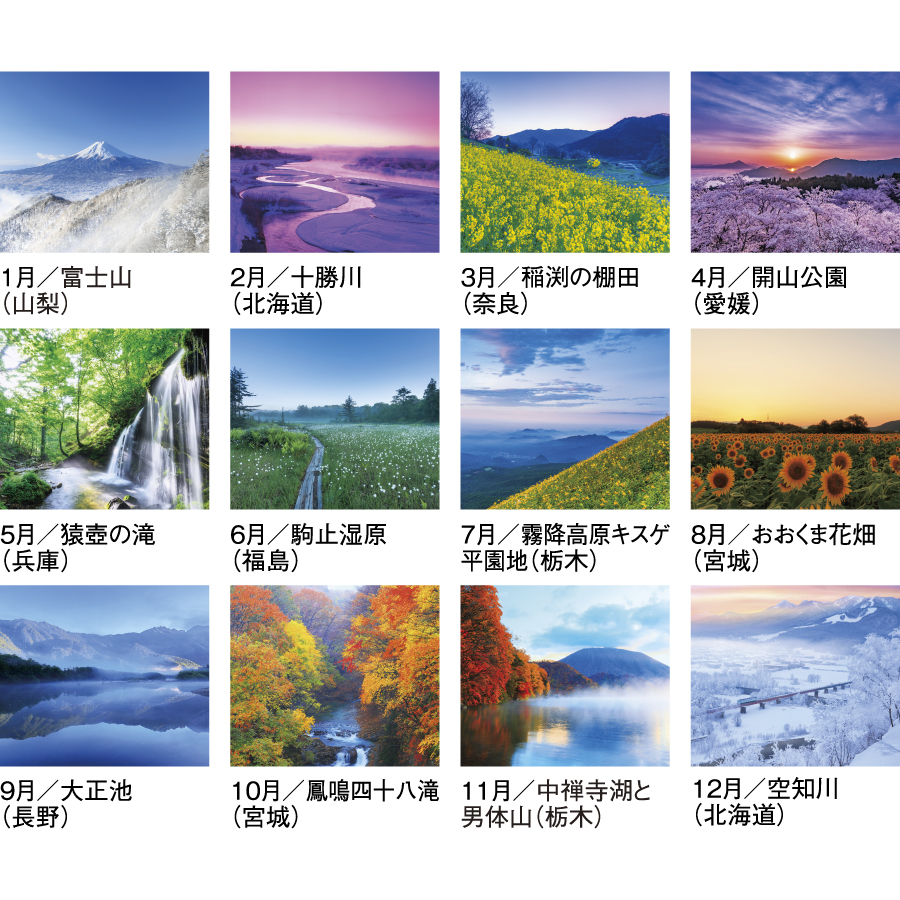 四季十二彩（SG-263）画像-3