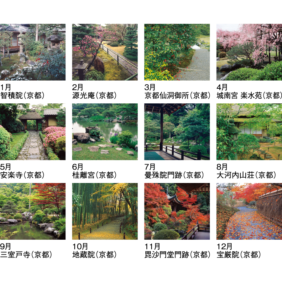 【超早割】庭・四季詩情(SG-264)画像-3