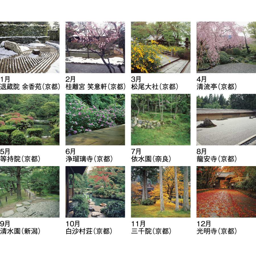 庭・四季詩情（SG-264）画像-3