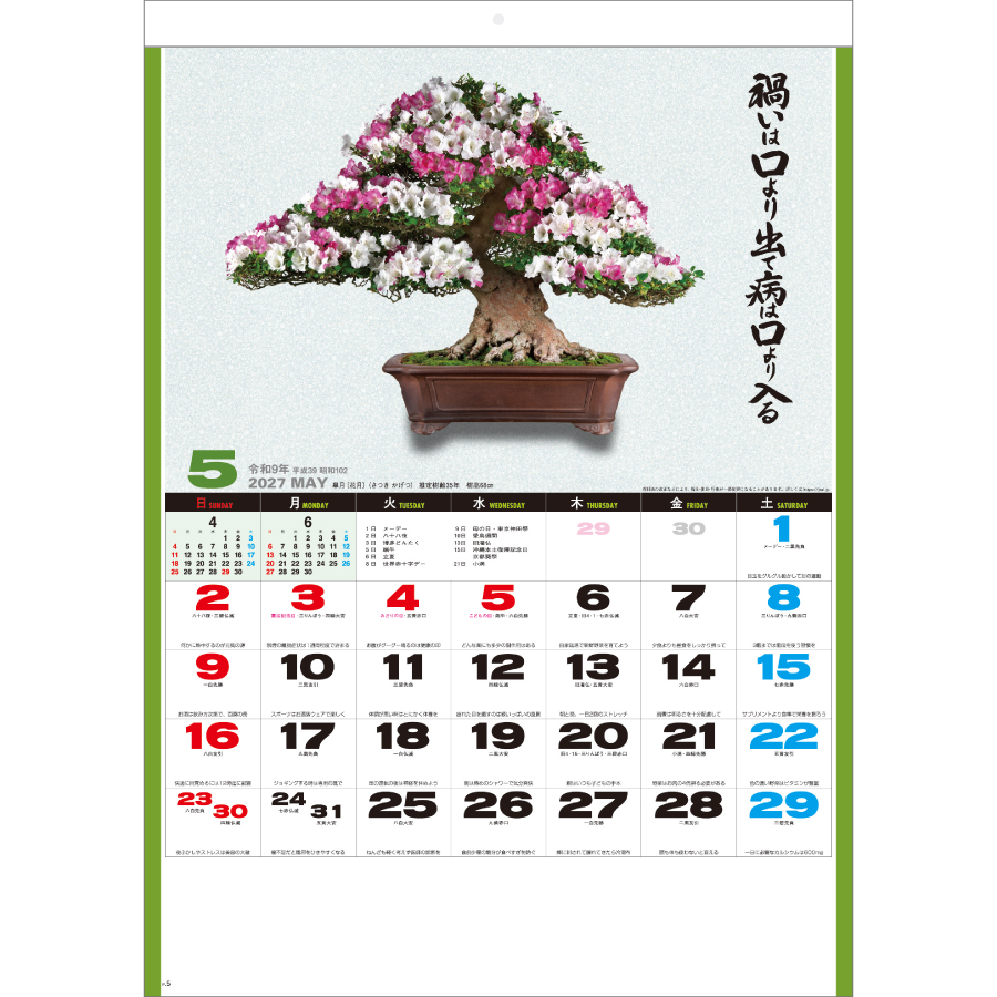 【超早割】自然愛 〈盆栽〉(SG-278)画像-2