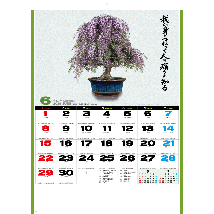 自然愛 〈盆栽〉（SG-278）画像-2
