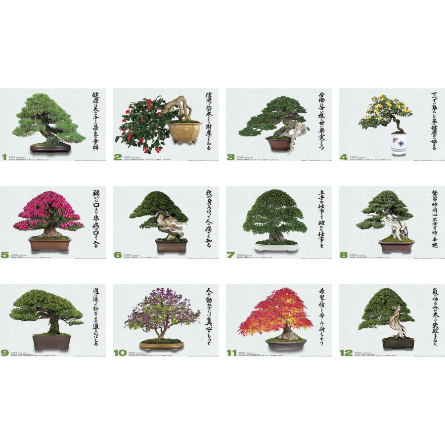 自然愛 〈盆栽〉（SG-278）画像-3