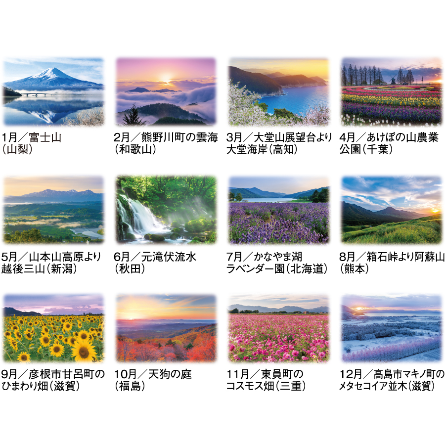 【超早割】詩情・四季メモリー(SG-281)画像-3