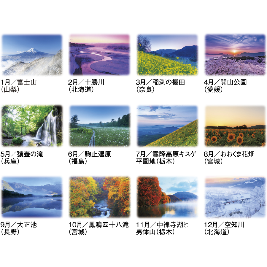 詩情･四季メモリー（SG-281）画像-3