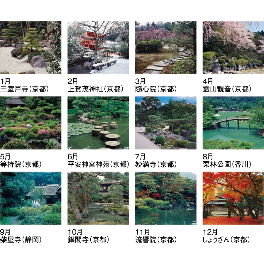 【超早割】詩情・庭メモリー（SG-282）画像-3